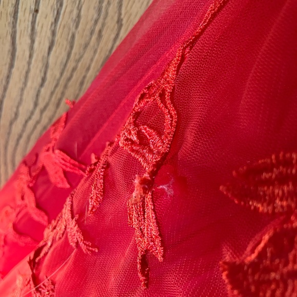 Elegant Red Lace A-Line Corset Back Adjustable Small Floor Length Prom Gown - Picture 8 of 9